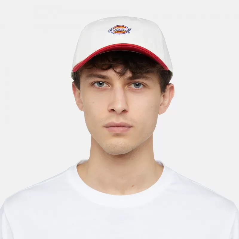 Boné Dickies Hardwick 2 Tone Egret - Image 2