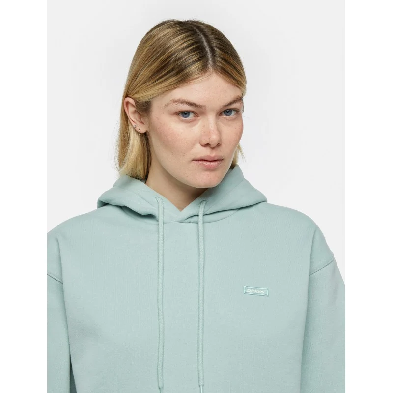 Sweatshirt Hoodie Dickies Clancy W - Blue Surf - Image 4