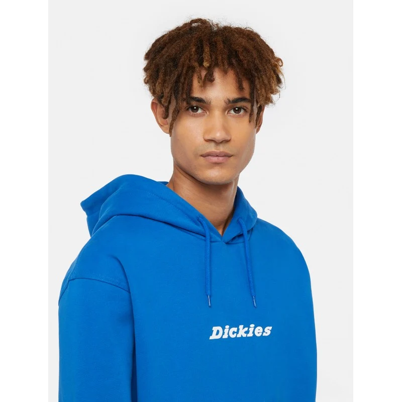 Sweatshirt Hoodie Dickies Enterprise - Turkish Sea - Image 4